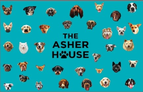 The Asher House Large Pet Towel