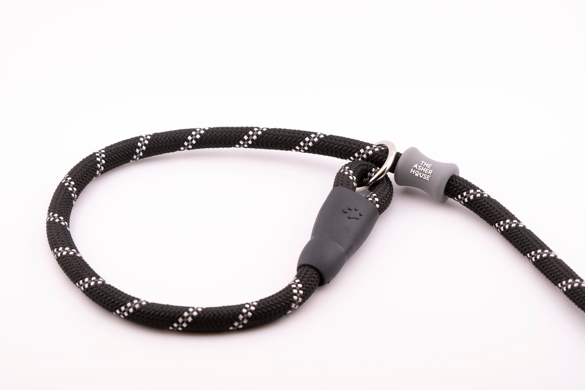 The Asher House Leash 5 Colors