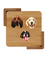 The Asher House Coasters- Group of 4