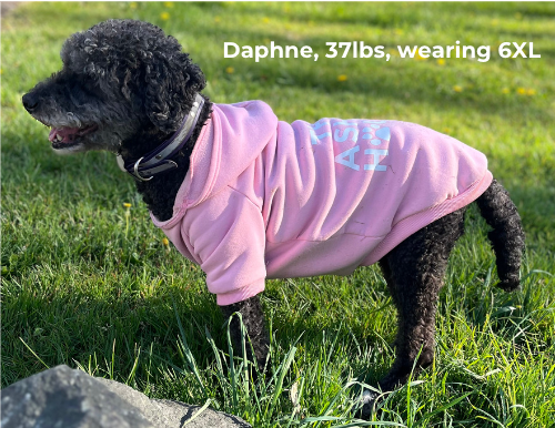 The Asher House Dog Hoodie - 5 Colors