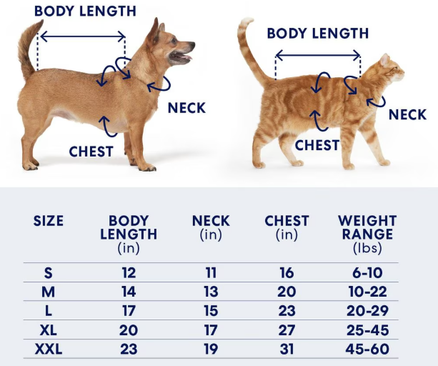 Pet Portraits Cozy Top