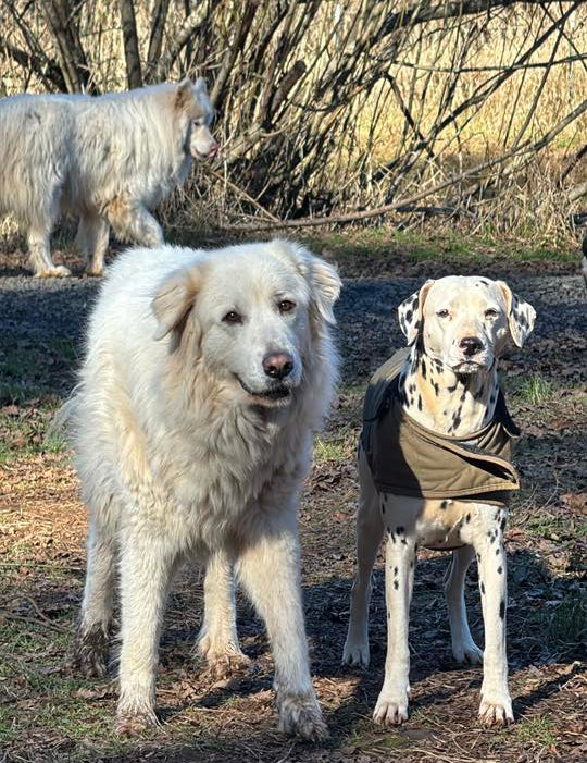 Around The Sanctuary: