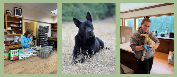 Around The Sanctuary: