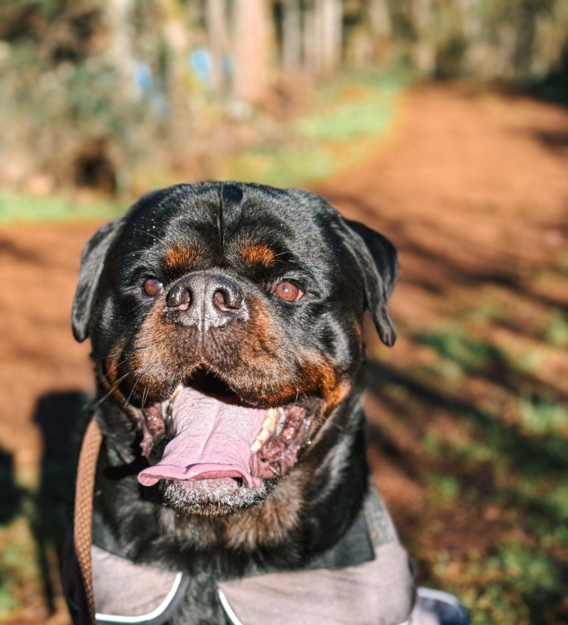 Around The Sanctuary: