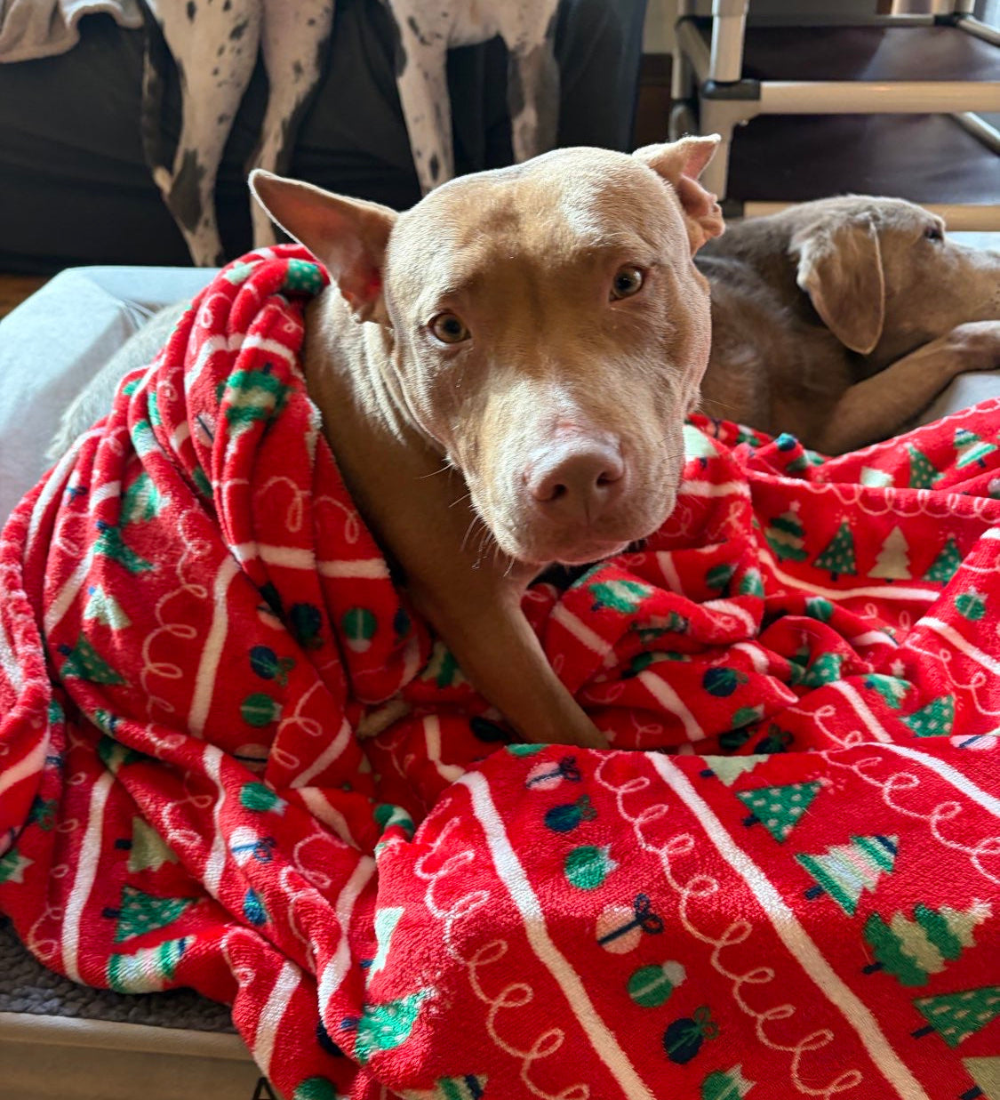 Community Generosity: