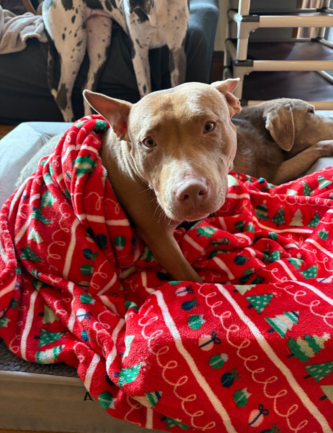 Community Generosity: