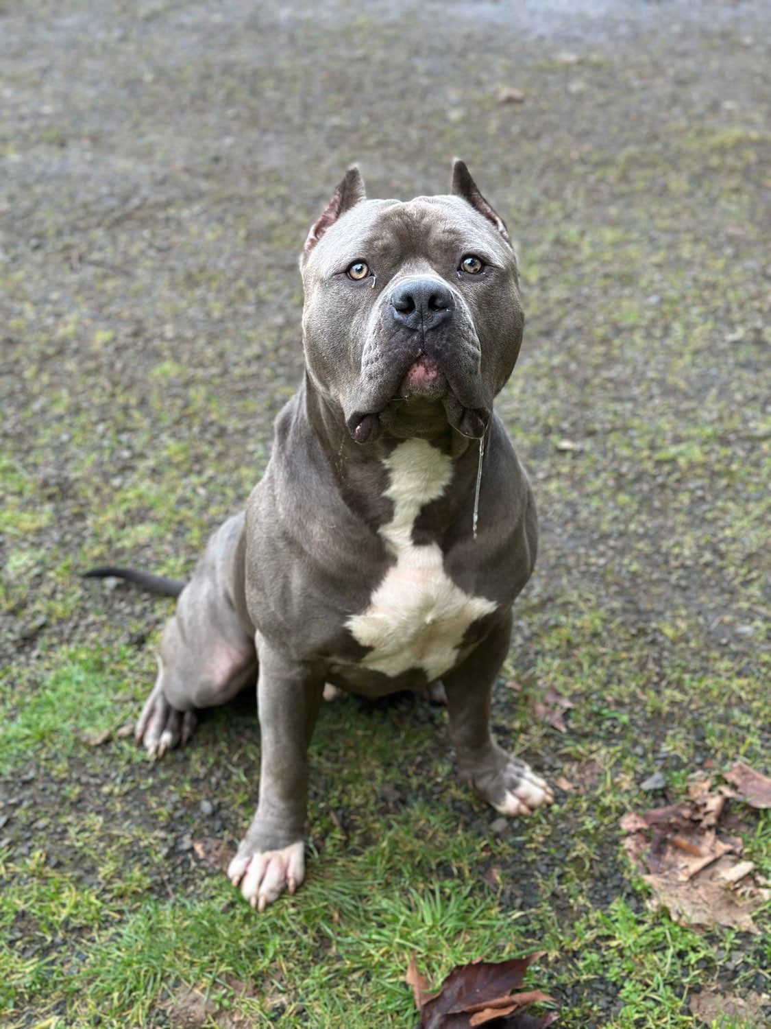 Catch Up With The Pack: