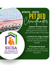 Buy A Pet Bed for SICSA!