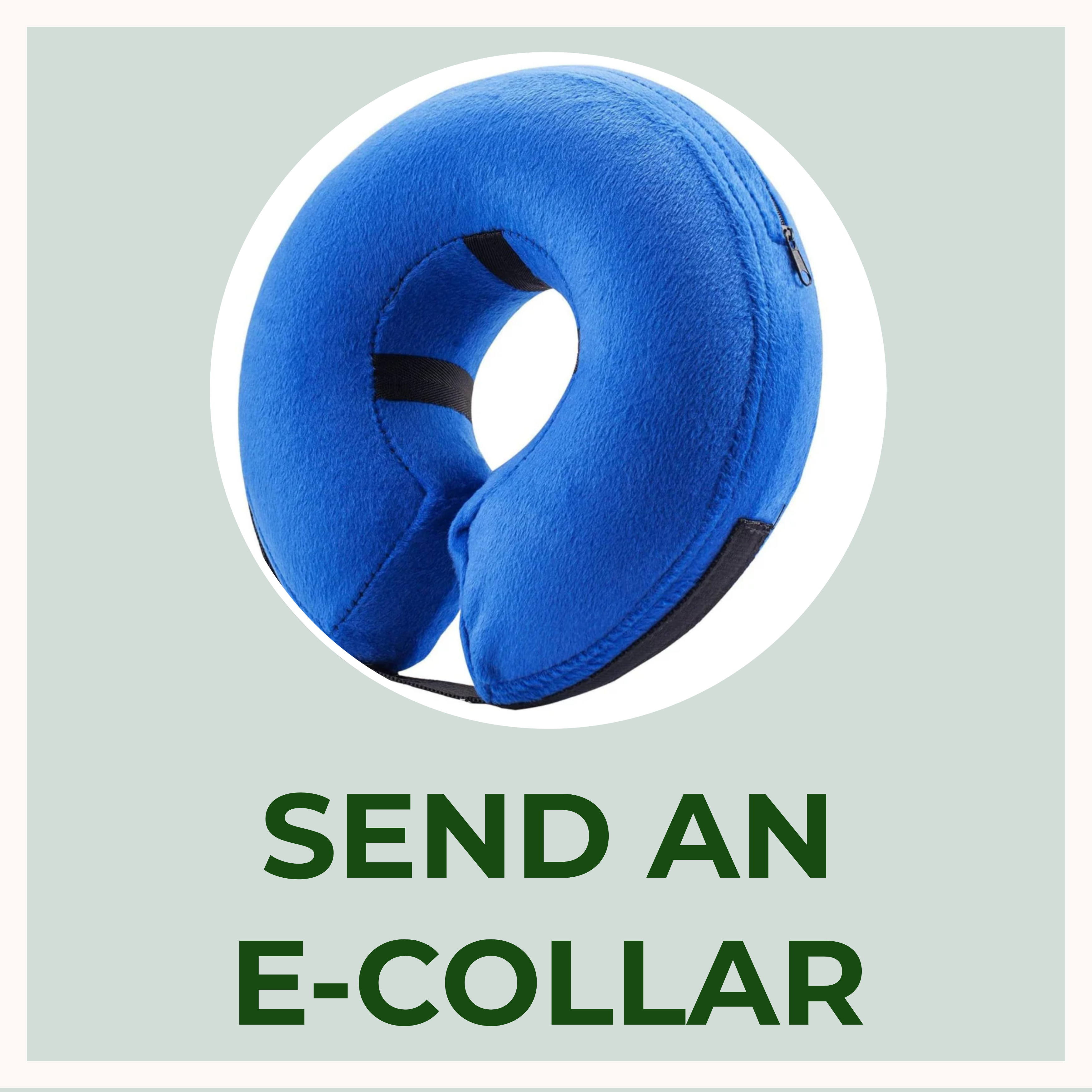 Send An E-collar for Headed Home In The Heartland Rescue Network