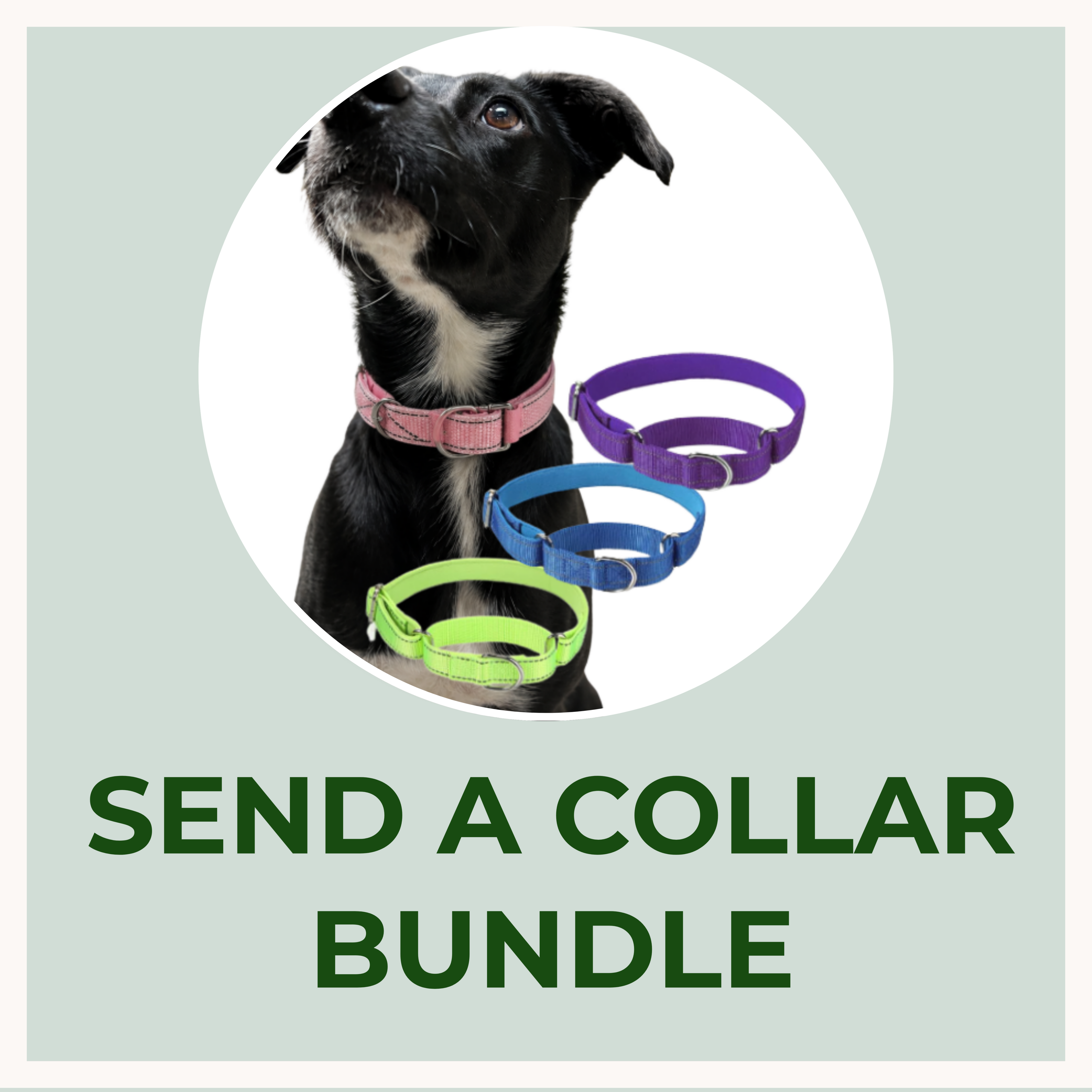 Send A Collar Bundle to Headed Home In The Heartland Rescue Network