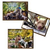 New! 2026 Calendar PREORDER