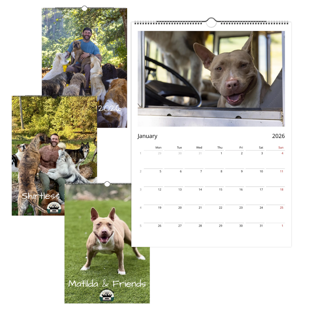 New! 2026 Wall Calendar – EU & Rest of World Edition