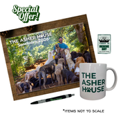 2026 Calendar, Mug, Pen, & Sticker Bundle