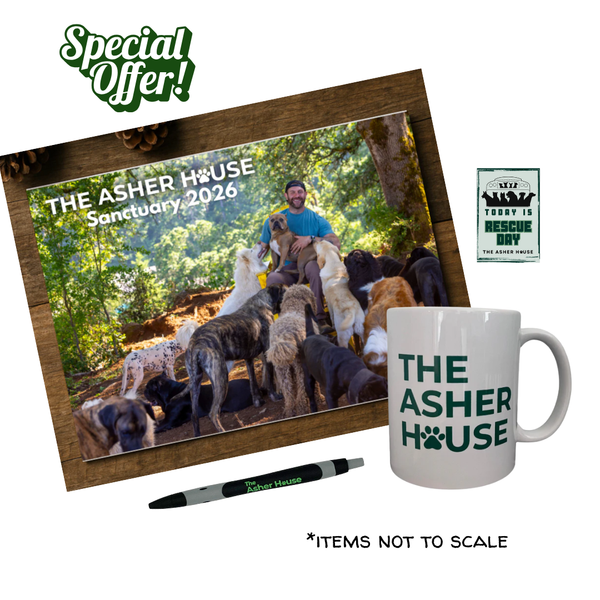 2026 Calendar, Mug, Pen, & Sticker Bundle