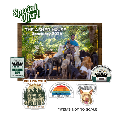 2026 Calendar & Sticker Pack Bundle