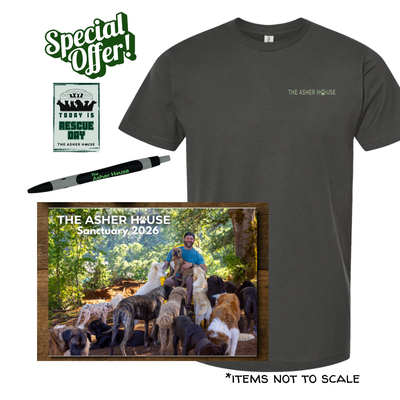 2026 Calendar, Tee, Sticker, & Pen Bundle