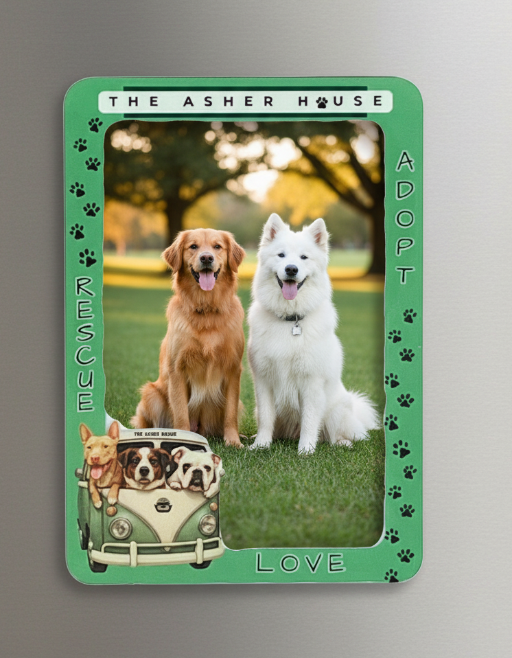 New! Photo Magnet Frame