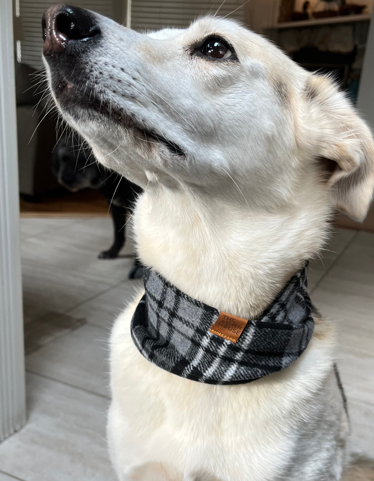 New! Pet or Human Snood Scarf