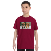 11fcef9b-7df0-4e6d-81f4-8a4c32961d9e