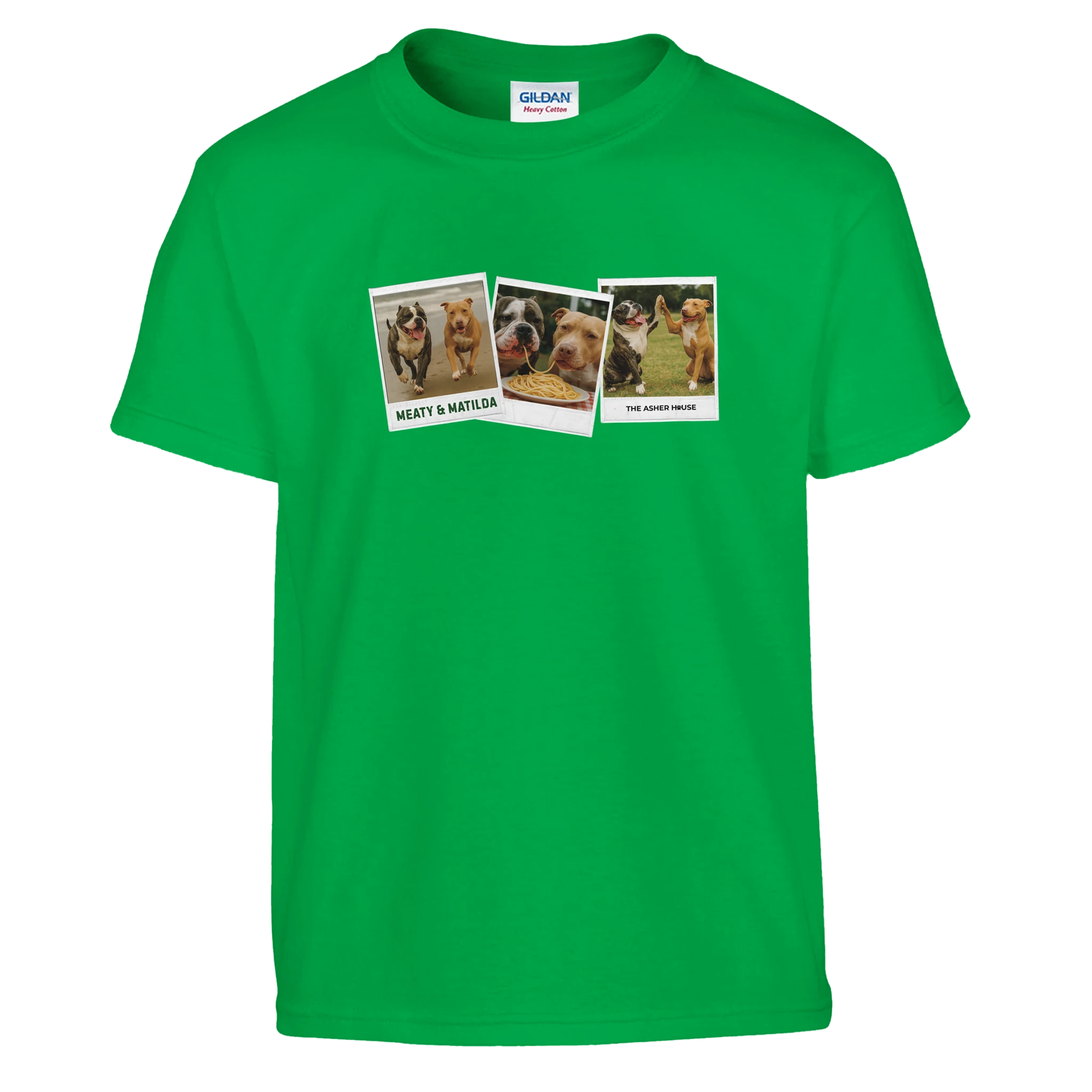 13c66970-8122-408c-a7ec-53236d968d49