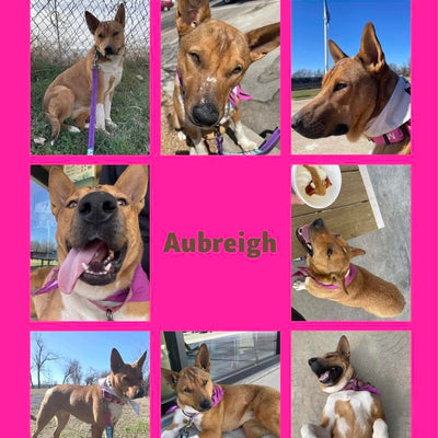 Aubreigh