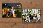 2027 Calendar Preorder