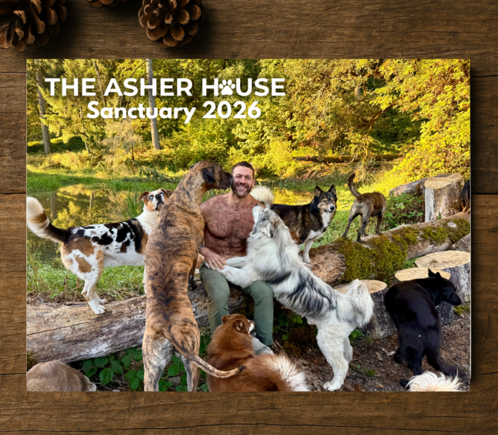 New 2026 Calendars The Asher House 38 D8531a4c 6a0f 444a 8661 