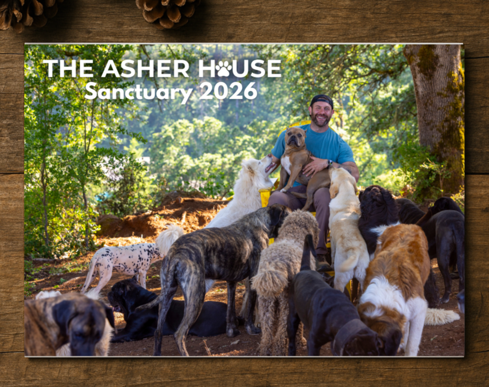 New 2026 Calendars The Asher House 39 Ab383d2d 4e82 4394 A87d 