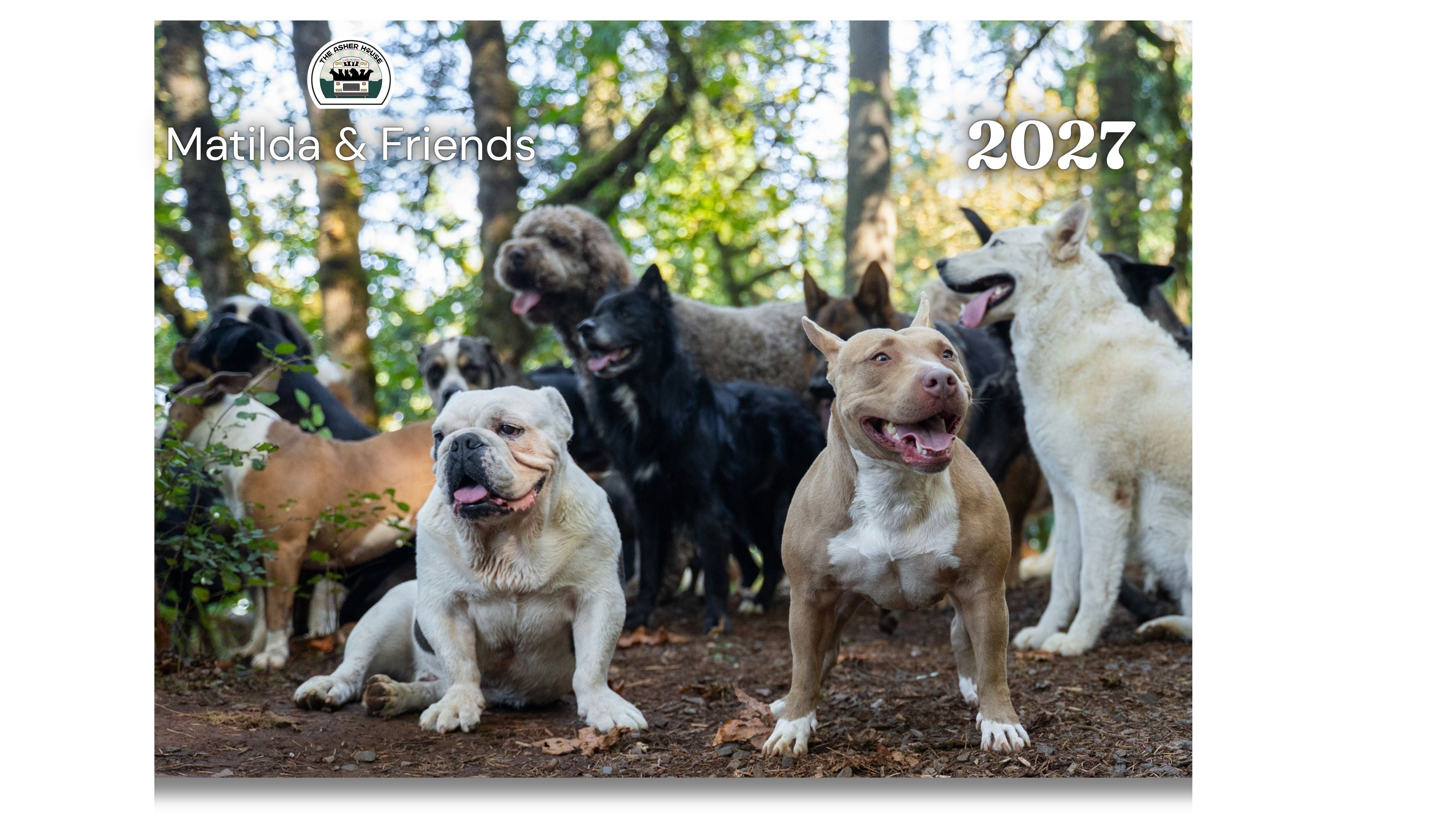 2027 Calendar Preorder