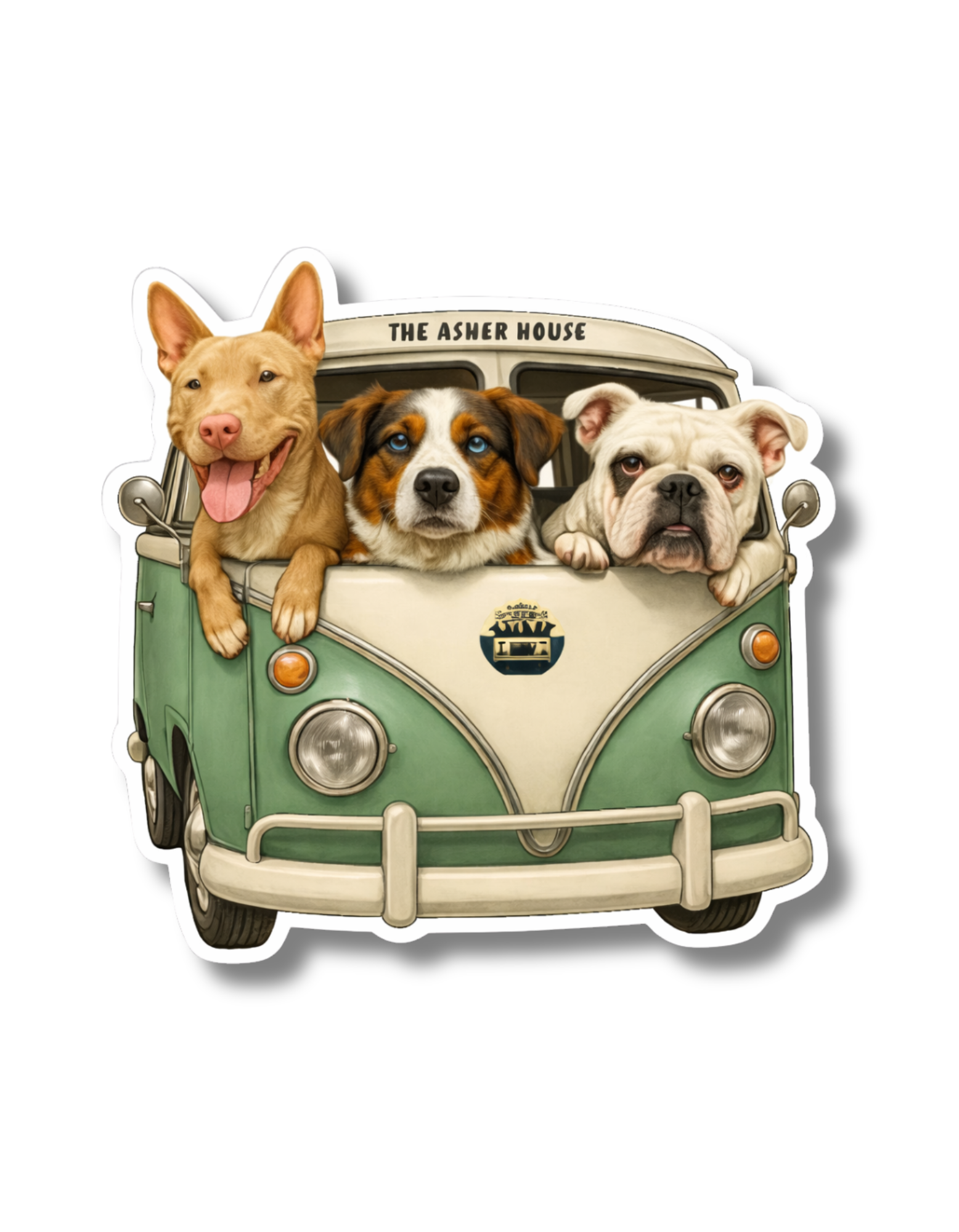🇺🇸 New! Collection Stickers