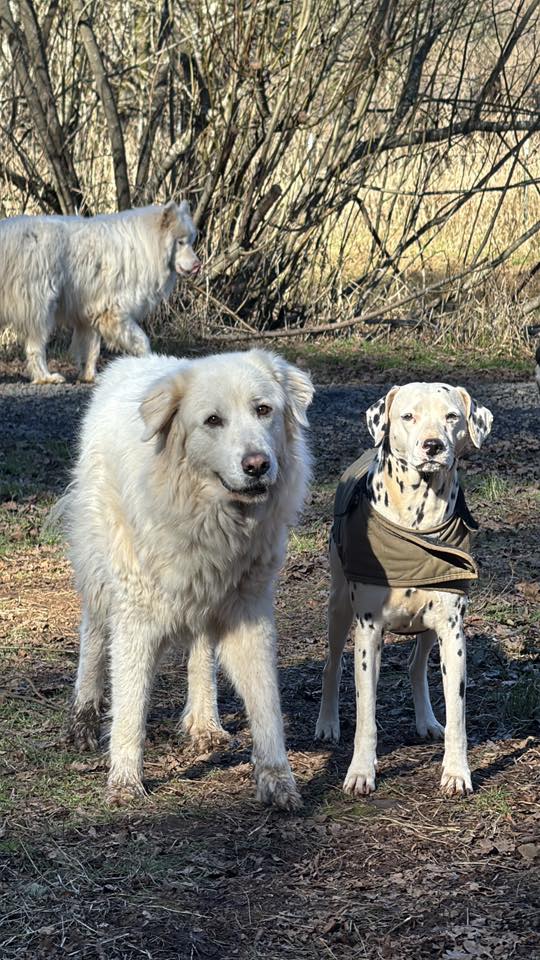 AROUND THE SANCTUARY: