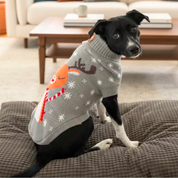 New! Cozy Holiday Pet Sweaters