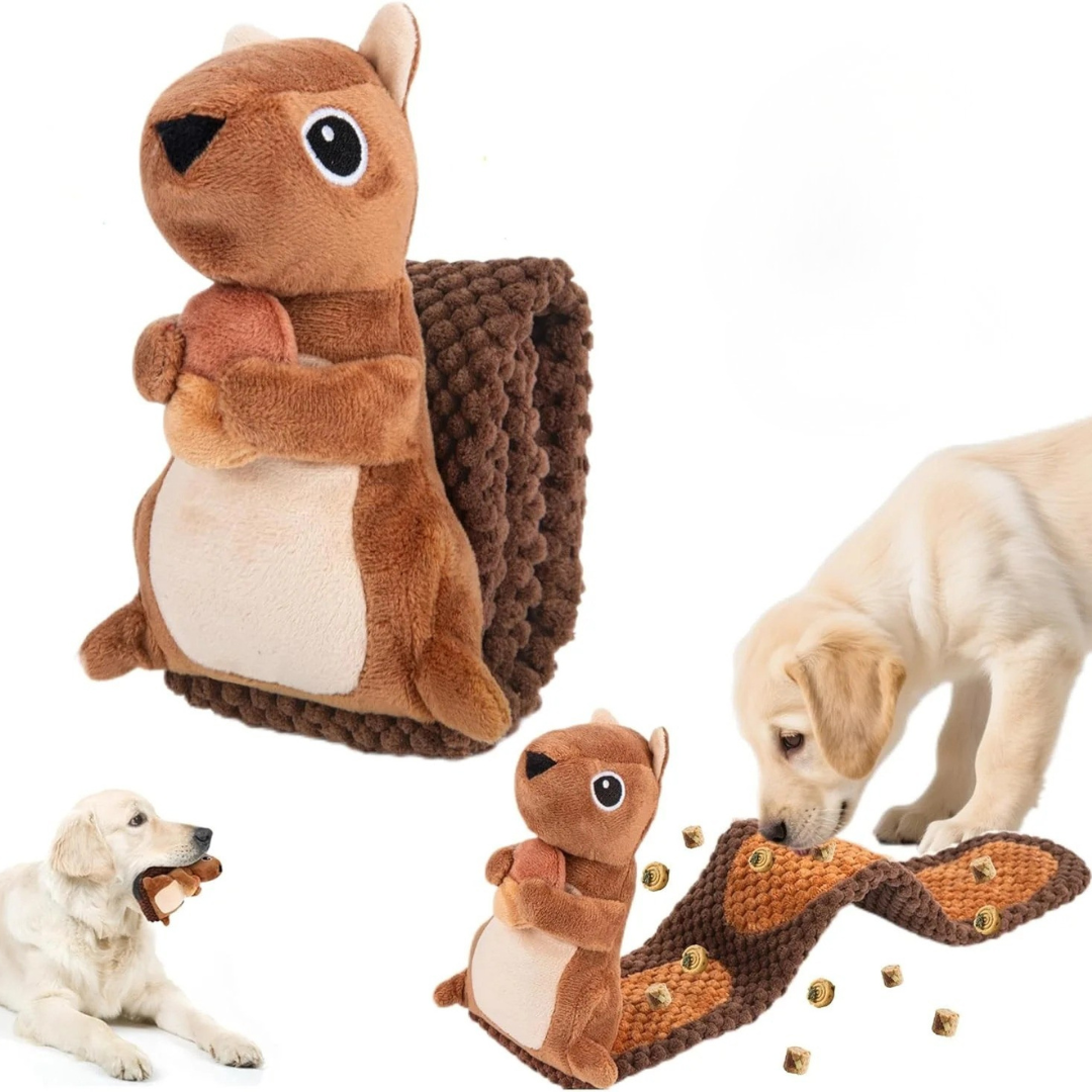 New! Squirrel Snuffle & Tug Toy