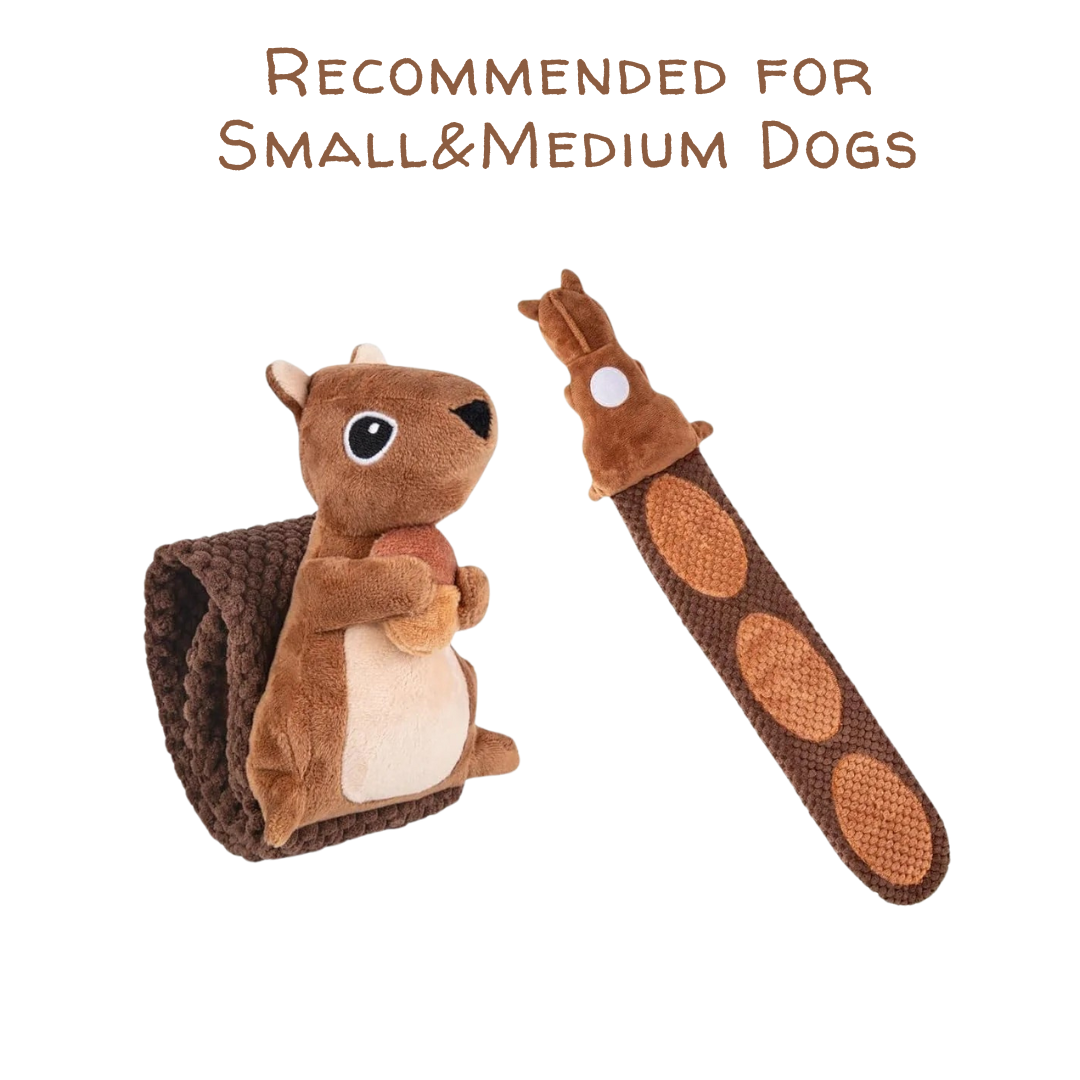New! Squirrel Snuffle & Tug Toy