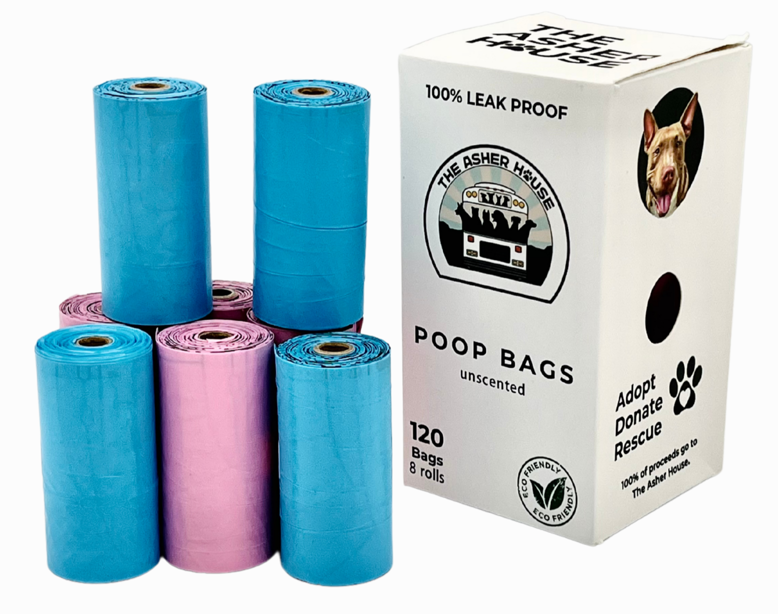 The Asher House Poop Bag Box