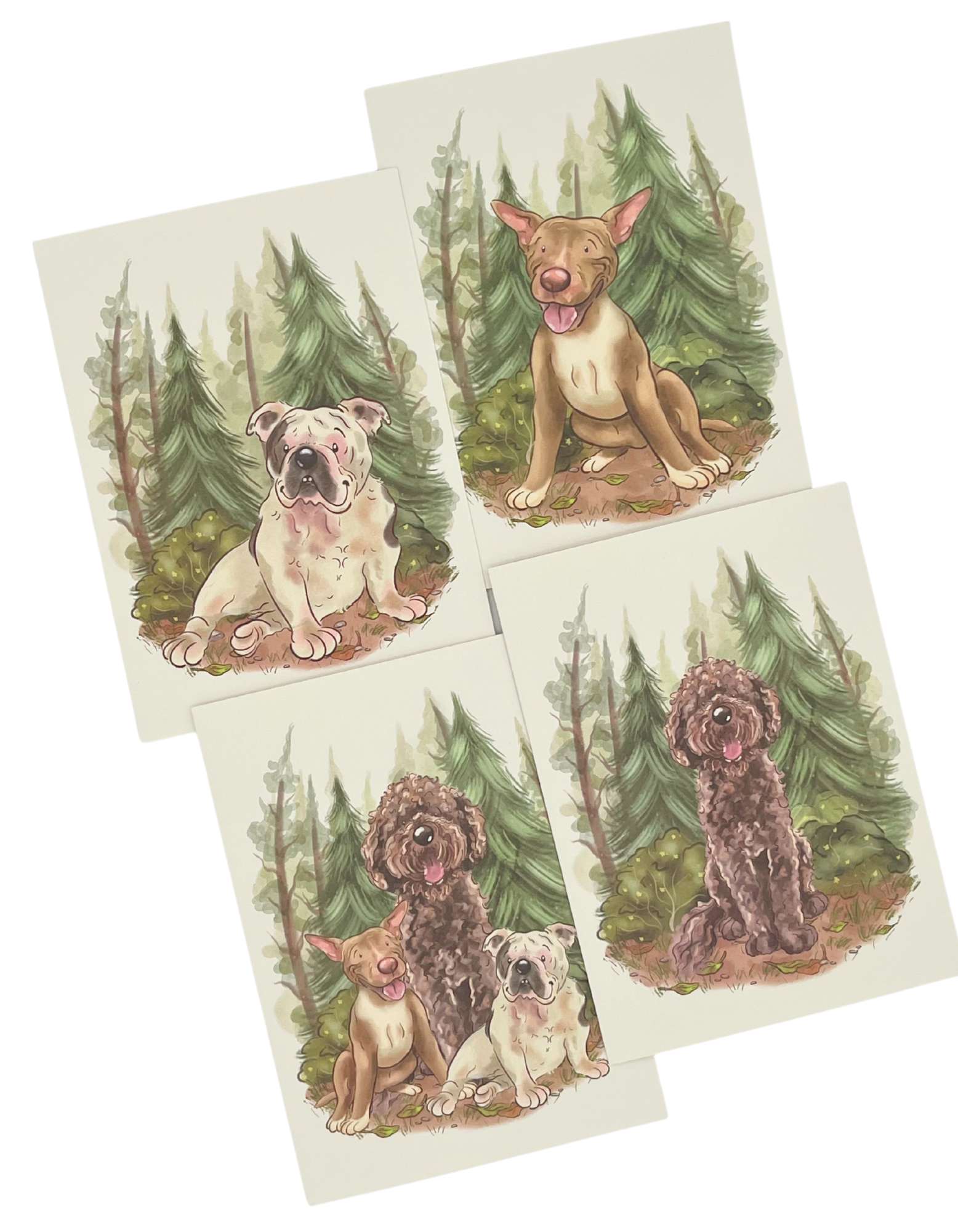 New! Artist Series Set of 20 Greeting cards