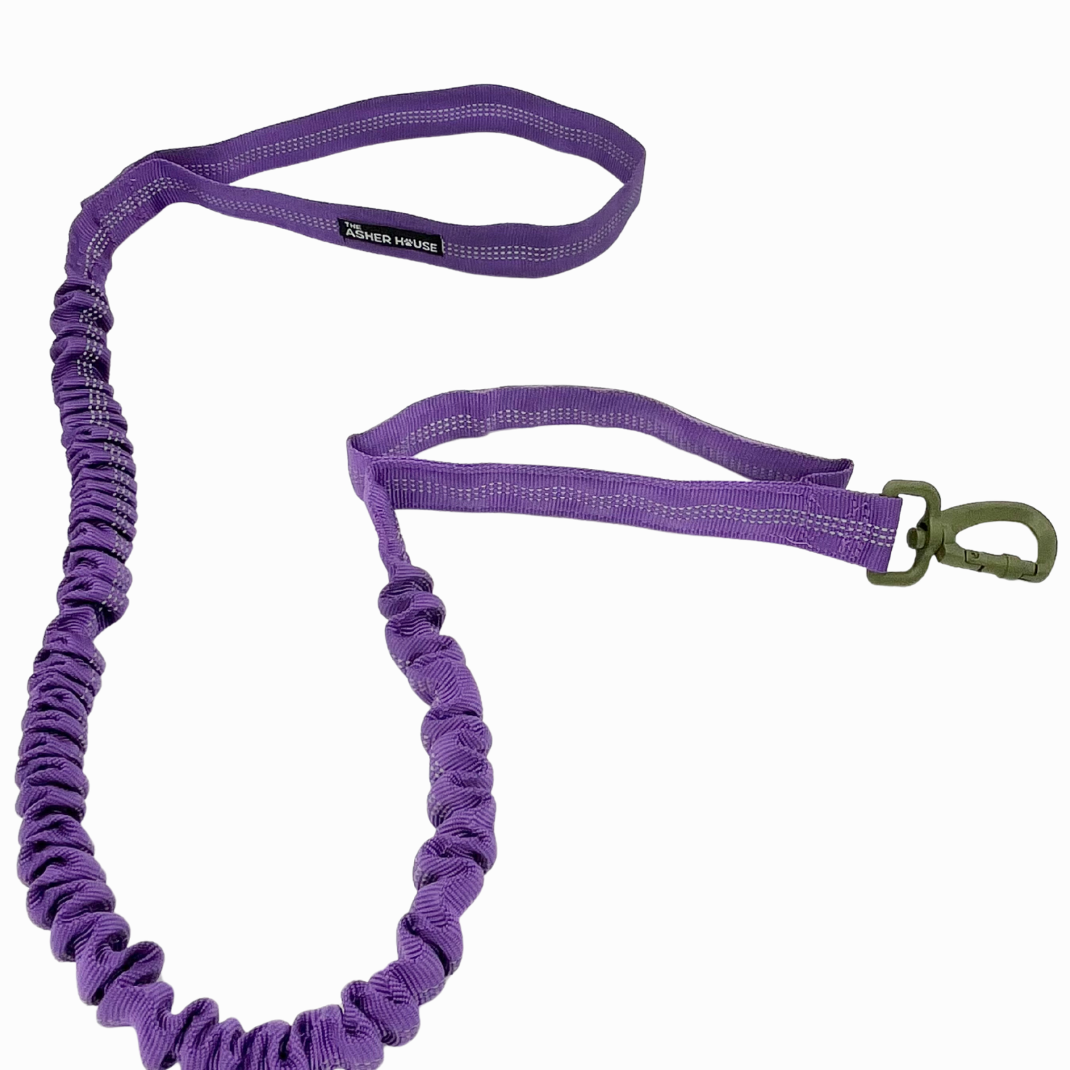 NEW! Bungee Dog Leash