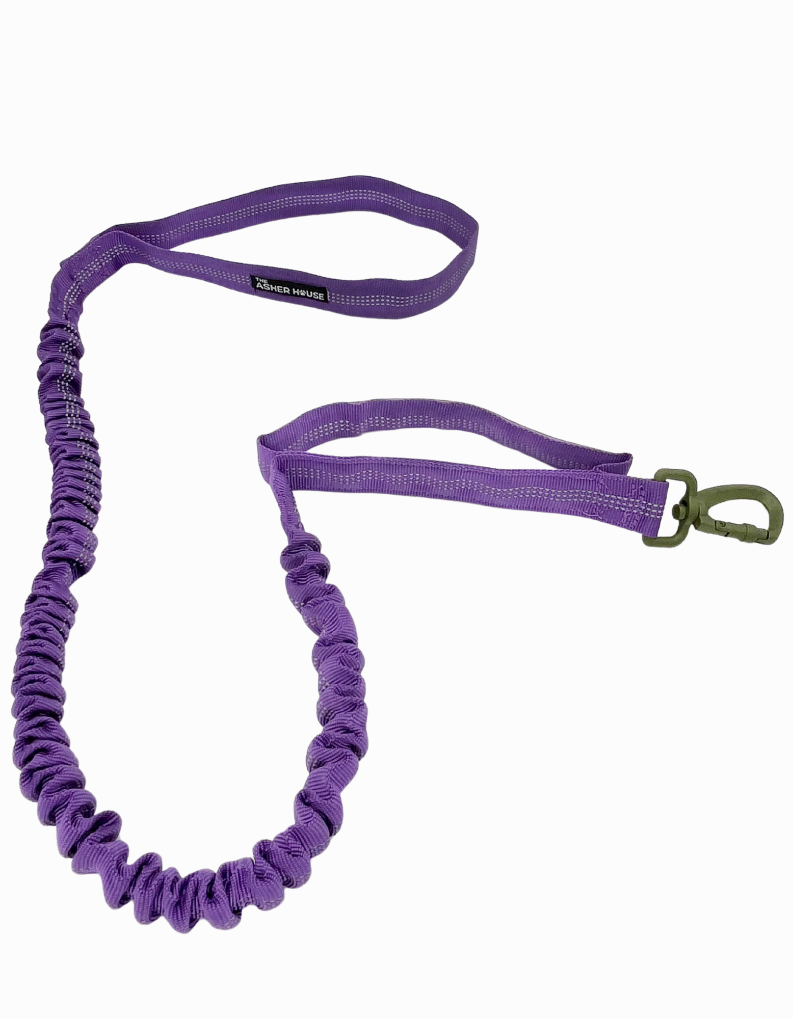 NEW! Bungee Dog Leash