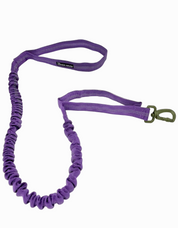 NEW! Bungee Dog Leash