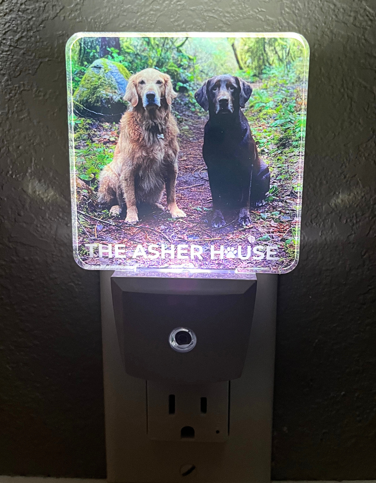 New! LED Night Auto Sensor Nightlights