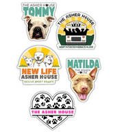 New Design Magnets