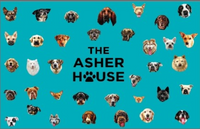 The Asher House Large Pet Towel