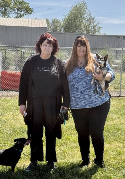 Alfie_Adoption.jpg