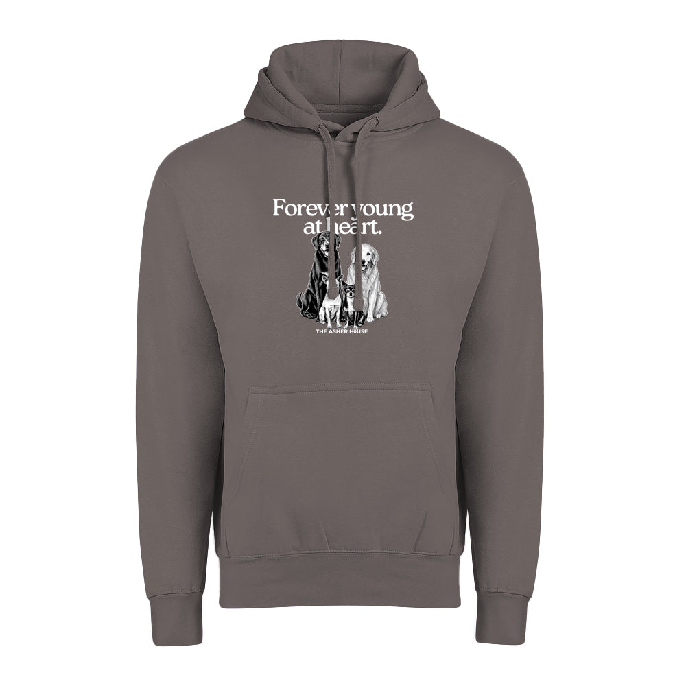 New! PawsitiviTEES Hoodie Forever Young At Heart - Up to 5XL