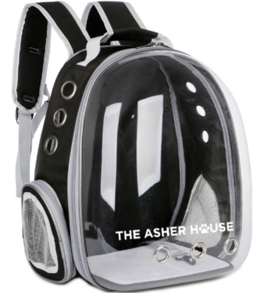 Pet backpack online