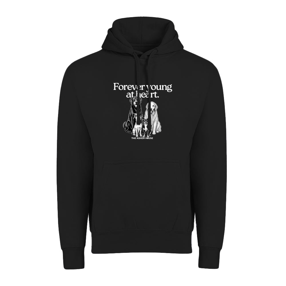 New! PawsitiviTEES Hoodie Forever Young At Heart - Up to 5XL