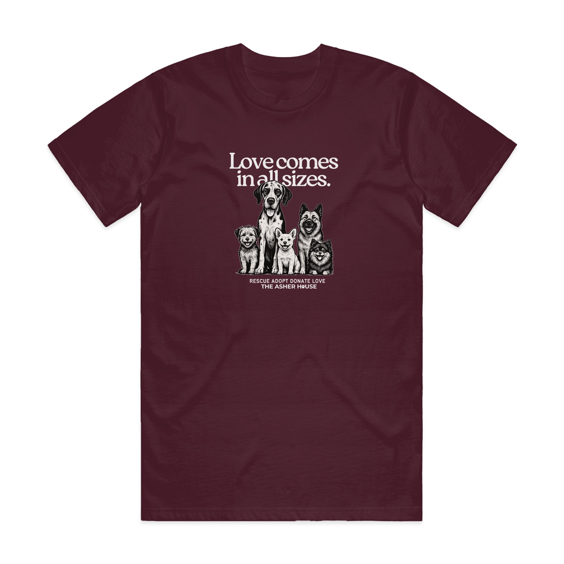 New! PawsitiviTEES T-Shirt: Love Comes In All Sizes