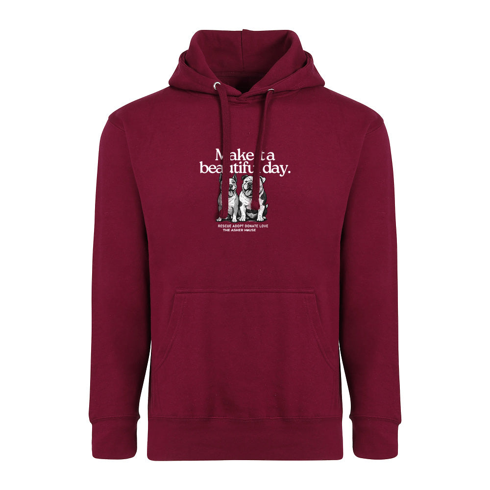 New! PawsitiviTEES Beautiful Day Hoodie- Up to 5XL