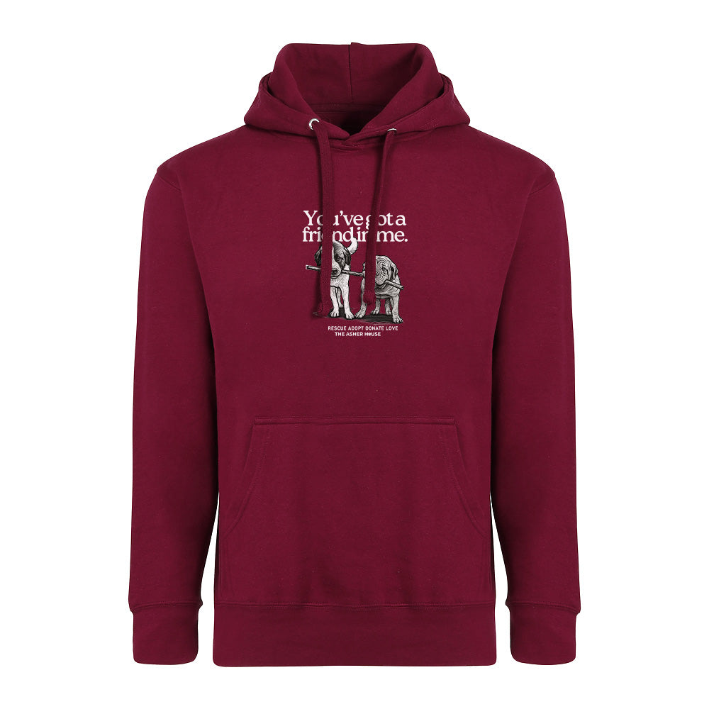New! PawsitiviTEES You've Got A Friend Hoodie- Up to 5XL