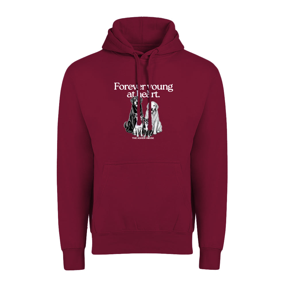 New! PawsitiviTEES Hoodie Forever Young At Heart - Up to 5XL